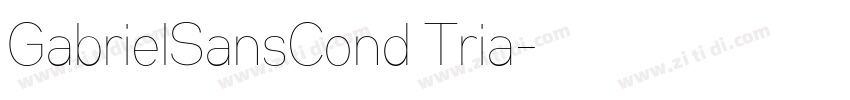 GabrielSansCond Tria字体转换